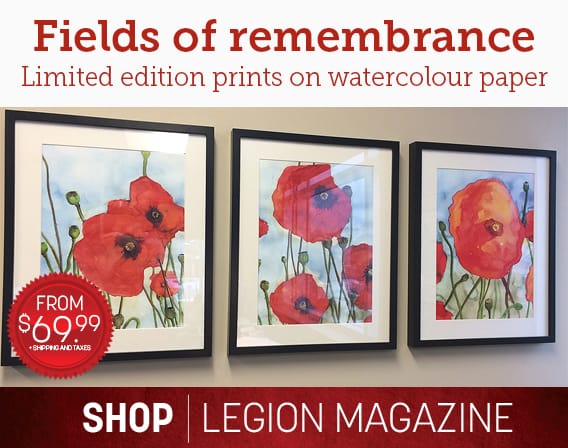 fields-of-remembrance-no-border